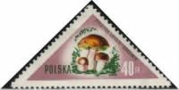 (1959-010) Марка Польша "Белый гриб" , III Θ